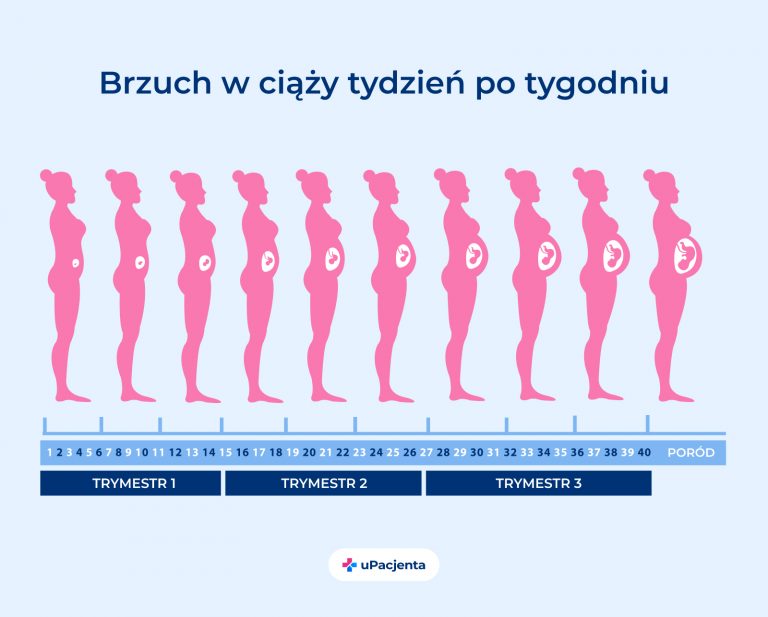Ile Jest Odcinków To Moje życie